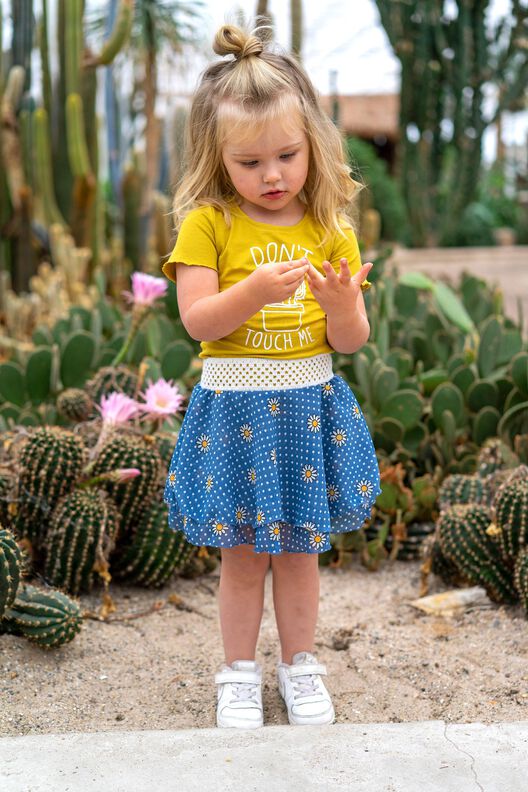 Rock Fae  N&auml;hanleitung + Schnitt image number 7