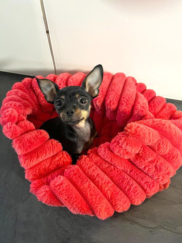Hundebett Katzenkorb SISSI (XS-XL 30-70 cm Bodendurchmesser) image number 8