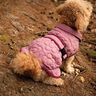 Hundejacke P1823- Poppy Magazine 23 thumbnail number 3