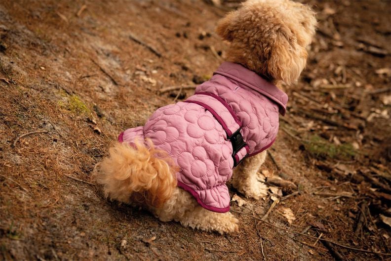 Hundejacke P1823- Poppy Magazine 23 image number 3