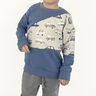 Everyday Sweater 56-104  inkl. A0 und Beamerdatei mit Ebenen thumbnail number 2