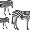 Zebra inkl. Kissen ITH Stickdatei thumbnail number 3