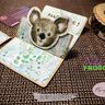 Plotterdateien & Printables Set KOALA thumbnail number 7