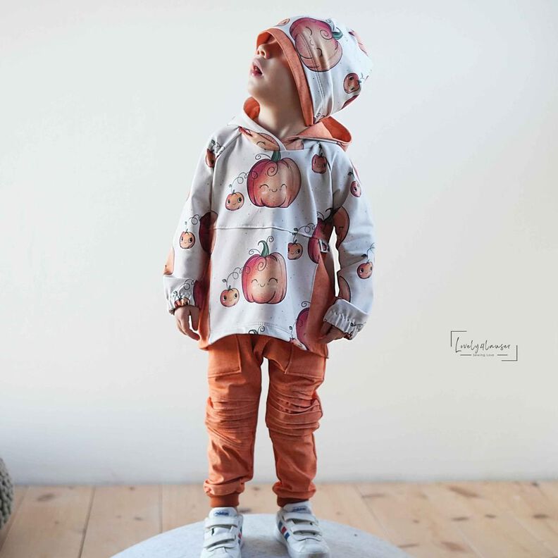 #CloudyHood Sweatshirt 74-164 inkl. A4/ A0/ Beamerdatei image number 7
