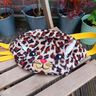 Tierisches Hipbag Hund Katze Maus Hase Basis eBook thumbnail number 2