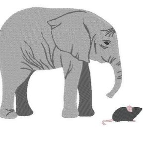 Elefant real inkl. Kissen ITH Stickdatei Maus