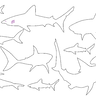 Stickdatei - Hai Raubfisch Linien thumbnail number 3