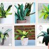 Zimmerpflanzen Frieda Flower (Nähanleitung & Schnittmuster) thumbnail number 6