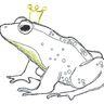 Scribble Kritzel Frosch Froschkönig Stickdatei Doodle thumbnail number 4
