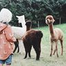 Schnittmuster und Nähanleitung Wind&Wetter Parka 80-170 thumbnail number 7