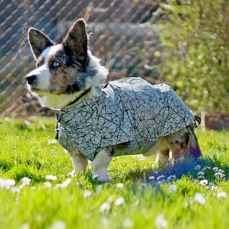 Hundejacke Alma Schnittmuster und Nähanleitung image number 7