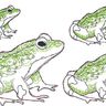 Scribble Kritzel Frosch Stickdatei Doodle thumbnail number 4
