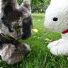 Katze Kuscheltier nähen thumbnail number 7