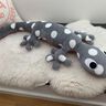 Salamander XXL | Kuscheltier | 1 Meter lang | schön weich thumbnail number 8