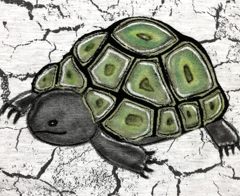 Applikationsvorlage und Nähanleitung Schildkröte  image number 2