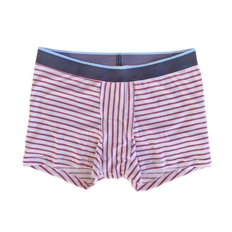 floxer-briefs: Boxerbriefs f. Damen, 4 Beinlängen, 2 Höhen image number 7