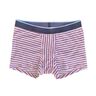 floxer-briefs: Boxerbriefs f. Damen, 4 Beinlängen, 2 Höhen thumbnail number 7