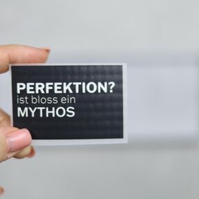 Plott #21 | Perfektion? Bloss ein MYTHOS