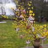 Osterdeko Huhn Hase Hahn Blume und Ei nähen thumbnail number 5