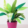 Zimmerpflanze Sansevieria (Nähanleitung & Schnittmuster) thumbnail number 4