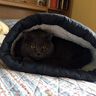 Katzen Höhle nähen mit Schnittmuster Kissen Sack thumbnail number 9