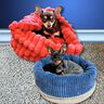 Hundebett Katzenkorb SISSI (XS-XL 30-70 cm Bodendurchmesser) thumbnail number 1
