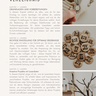 E-Book: Tolle Ergebnisse mit Laser & Plotter thumbnail number 2