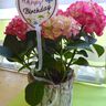 ITH Stickdatei Blumenstecker zum Geburtstag 10x10cm thumbnail number 1