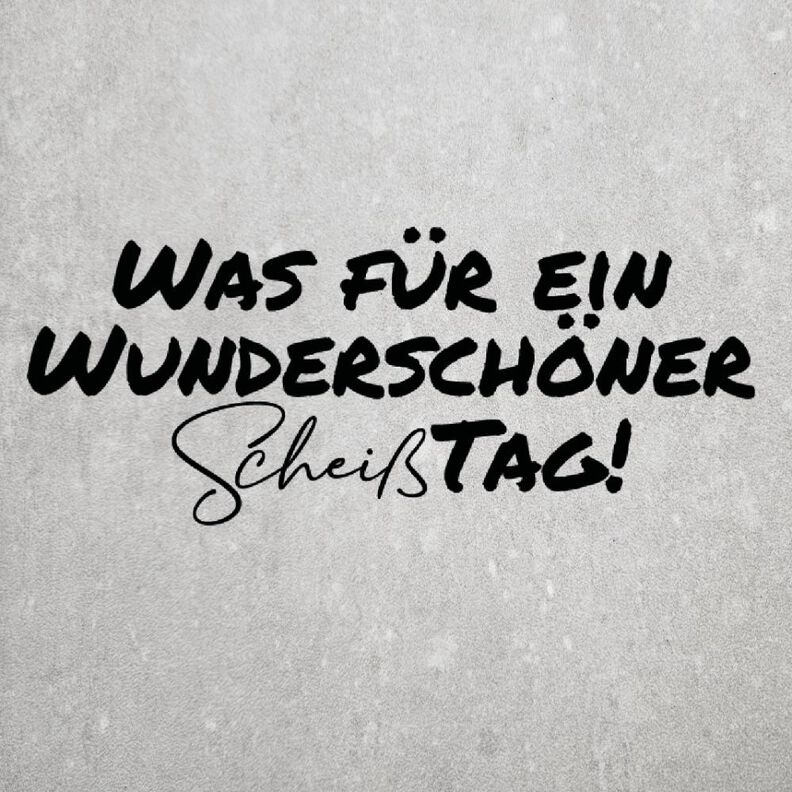 Plott #15 | Wunderschöner Sch*$ Tag image number 1