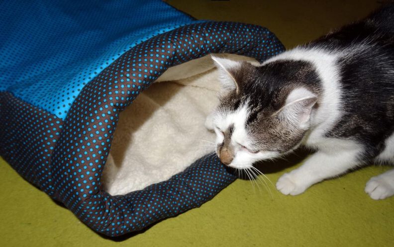 Katzen Höhle nähen mit Schnittmuster Kissen Sack image number 6