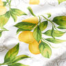 Dekostoff Panama Zitronen – weiss/zitronengelb,  thumbnail number 2