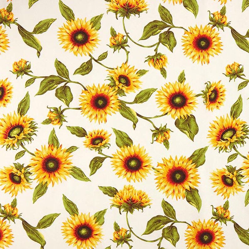 Dekostoff Canvas Sonnenblumen – natur/sonnengelb,  image number 1