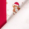 Panel French Terry Sommersweat Weihnachts-Teddy – wollweiss/rot,  thumbnail number 5