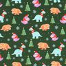 French Terry Sommersweat Baby Dinosaurier in Weihnachtsstimmung | Glitzerpüppi – dunkelgrün/chili,  thumbnail number 1