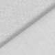 Beschichtete Baumwolle Glitzer – silber,  thumbnail number 3
