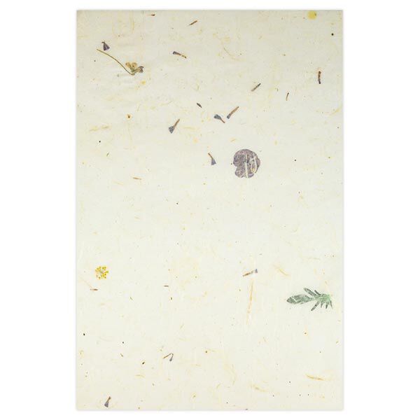 Naturpapier-Set "Paper Nature Viola", image number 4