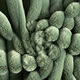 Polsterstoff Kuschelrippe – schilf,  thumbnail number 1
