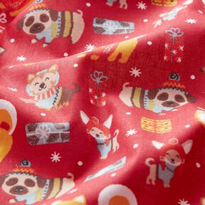 Baumwollstoff Cretonne Hunde an Weihnachten – rot, 