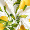 Dekostoff Panama Zitronen – weiss/zitronengelb,  thumbnail number 3