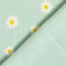 Waffeljersey Margeriten – hellmint,  thumbnail number 4