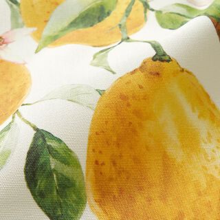 Outdoorstoff Canvas Zitronen – elfenbein/zitronengelb, 