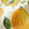 Outdoorstoff Canvas Zitronen – elfenbein/zitronengelb,  thumbnail number 3