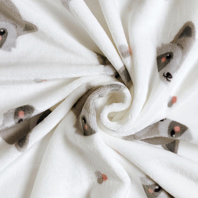 Kuschelfleece niedliche Waschbären – elfenbein/dunkelgrau,  image number 3