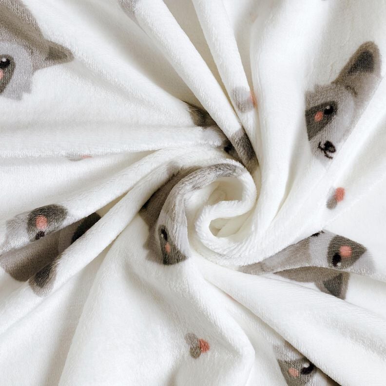 Kuschelfleece niedliche Waschbären – elfenbein/dunkelgrau, image number 3