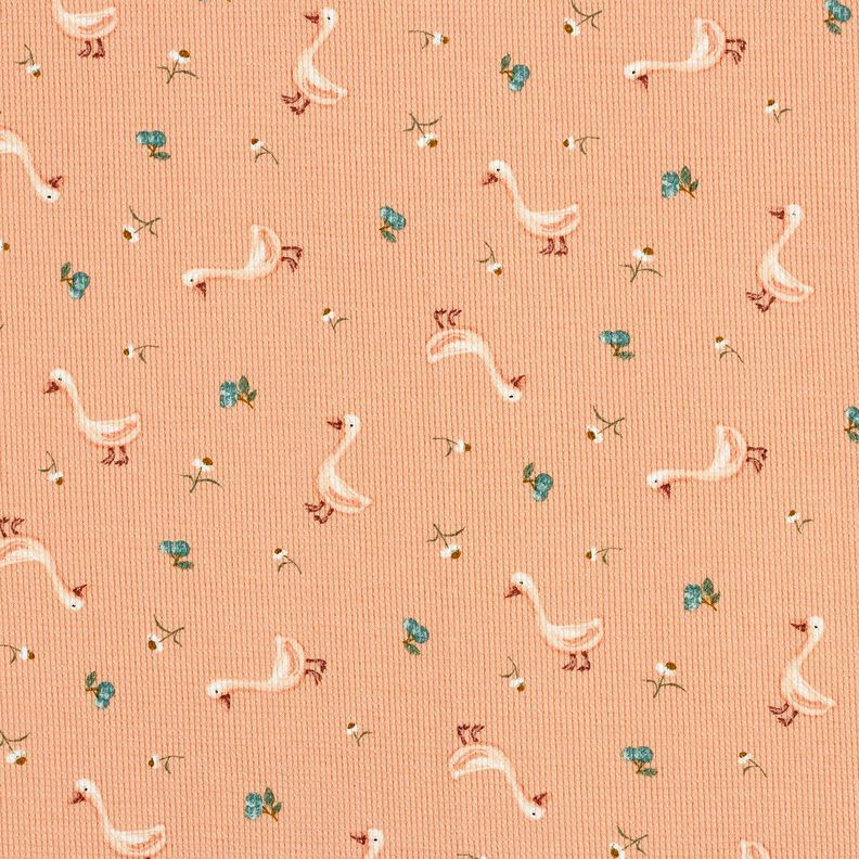 Waffeljersey Gänse und Blumen – lachs, image number 1