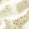 Baumwollstoff Cretonne weihnachtlicher Sternenhimmel klein – weiss,  thumbnail number 2