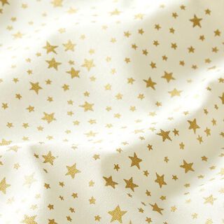 Baumwollstoff Cretonne weihnachtlicher Sternenhimmel klein – weiss, 