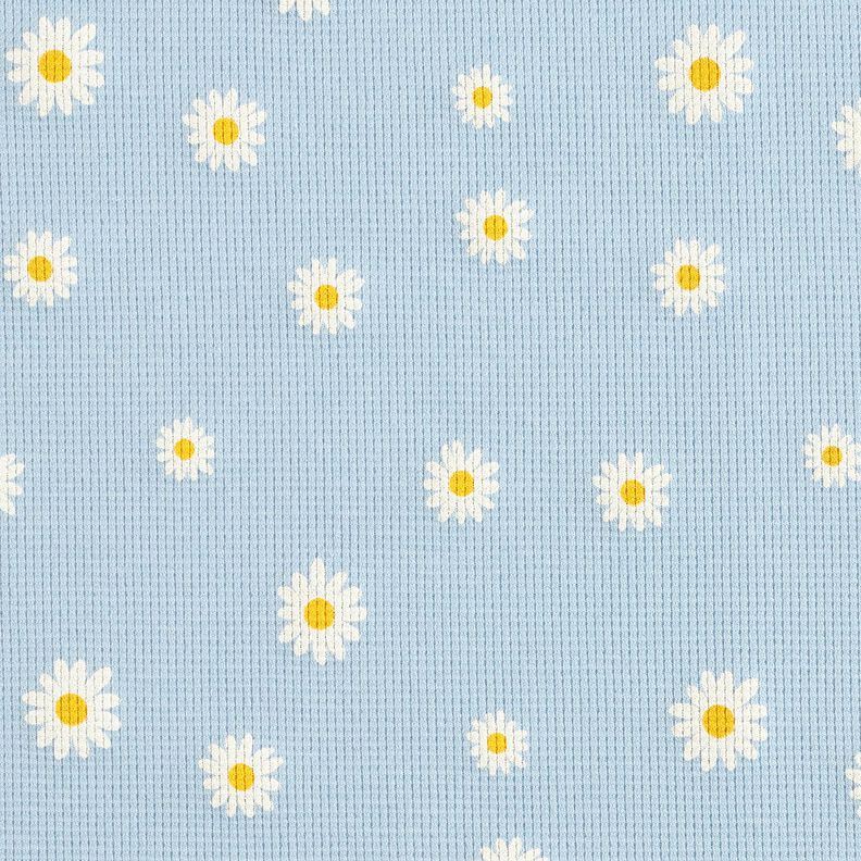 Waffeljersey Margeriten – silberblau,  image number 1