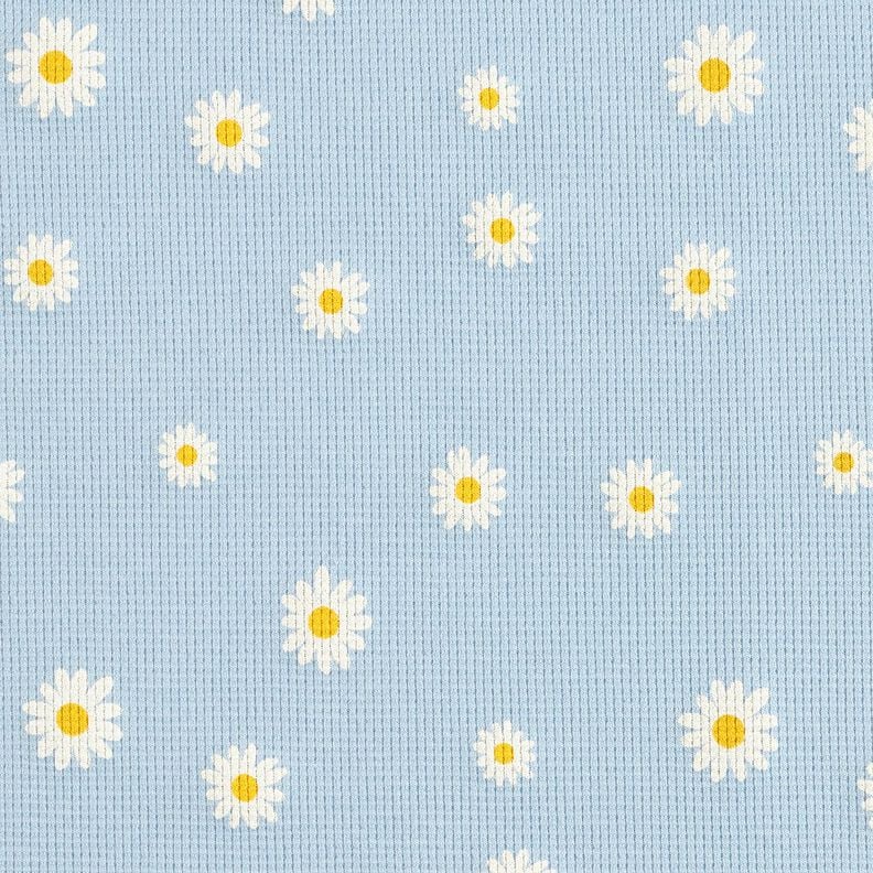 Waffeljersey Margeriten – silberblau, image number 1
