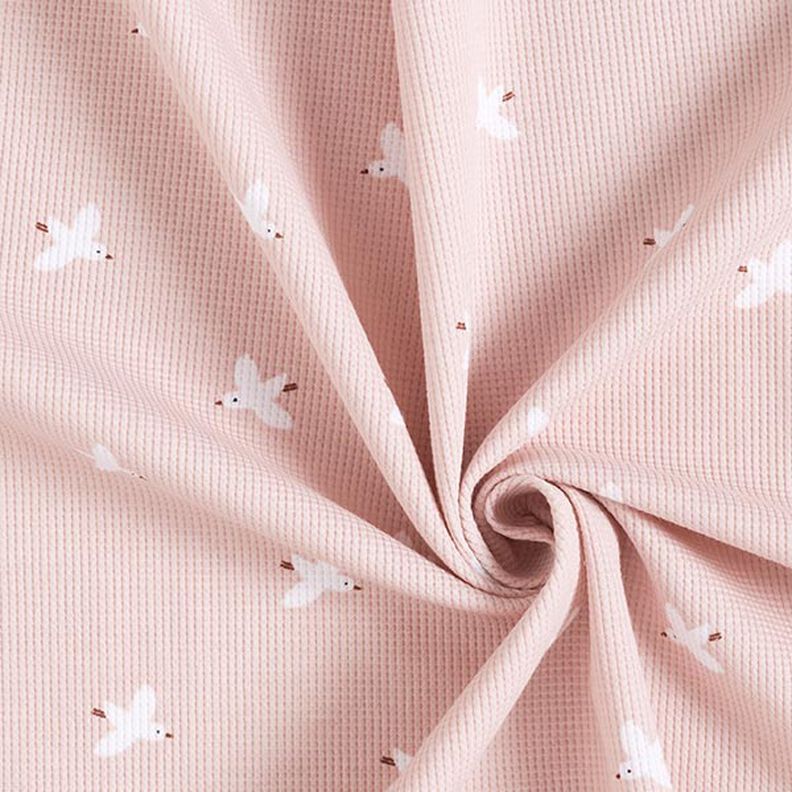 Waffeljersey Vögel | by Poppy – rosé,  image number 4